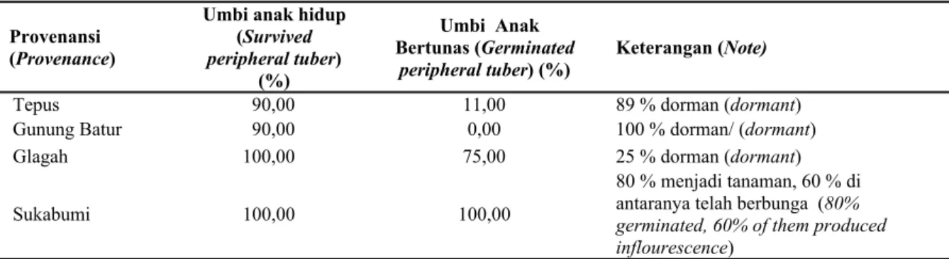Tabel 4. Kondisi umbi anak dari berbagai provenansi pada 24 MST (Peripheral tuber conditions from various  provenance on 24 WAP)
