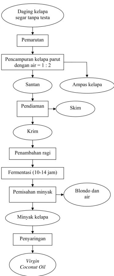 Gambar 5. Diagram alir proses pengolahan VCO dengan cara penambahan ragi (Alam Syah, 2005 