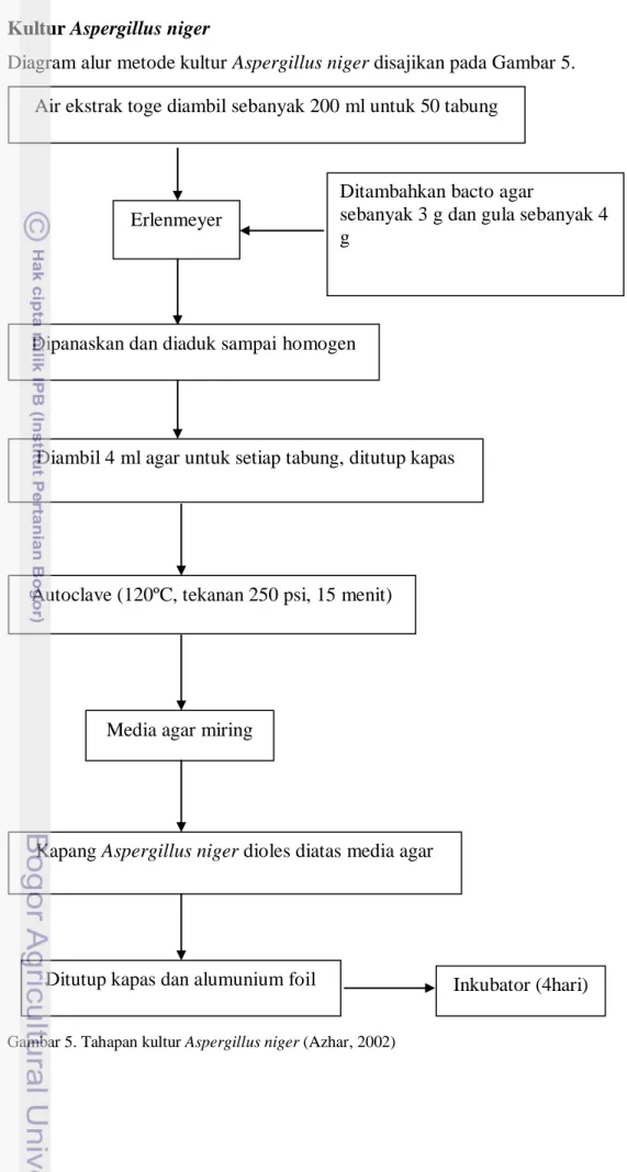 Diagram alur metode kultur Aspergillus niger disajikan pada Gambar 5. 