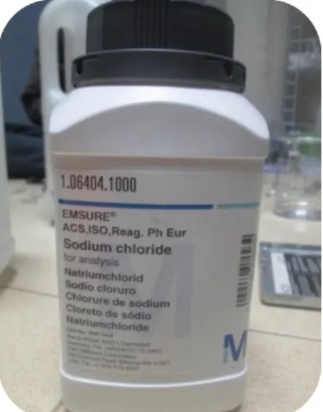 Gambar 3. 7. Garam (Sodium Chloride) 