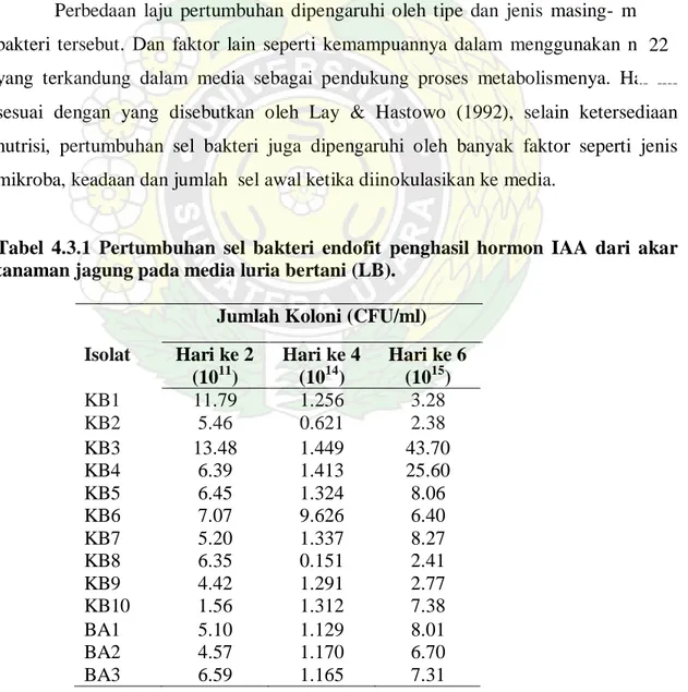 Tabel 4.3.1  Pertumbuhan sel bakteri endofit penghasil hormon IAA dari akar  tanaman jagung pada media luria bertani (LB)