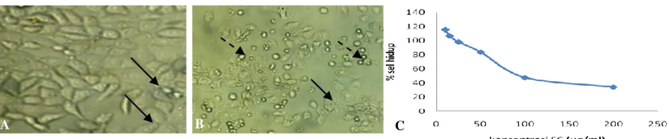 Gambar 1. Efek Perlakuan Ekstrak Etanolik Herba Ciplukan(EC) terhadap sel kanker MCF-7