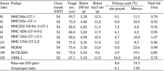 Tabel 3.   Umur masak, tinggi tanaman, bobot 100 biji, bobot biji/3 tan, kerusakan polong akibat  ulat grayak dan Maruca, dan hasil biji galur kacang hijau terpilih