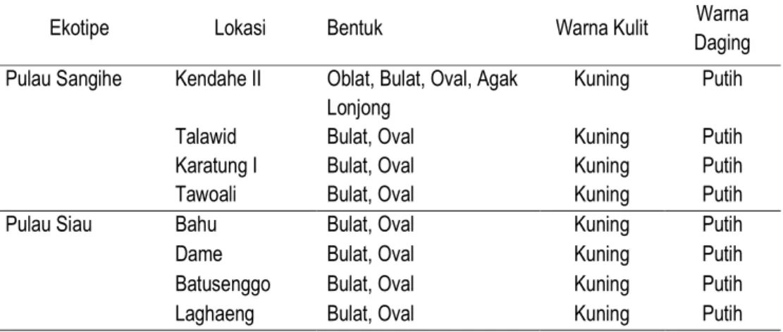 Tabel 1.  Bentuk, Warna Kulit, dan Warna Daging Buah Pala di Pulau Sangihe dan Pulau Siau  (Table 1