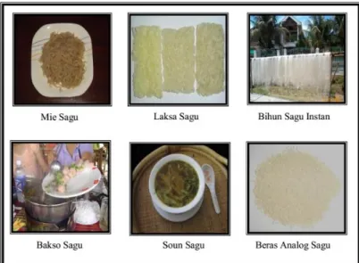 Gambar 5 . Aneka bahan makanan berbahan baku pati sagu dalam perkembangan (Haryadi, 2008                        dalam Louhenapessy dkk., 2010) 