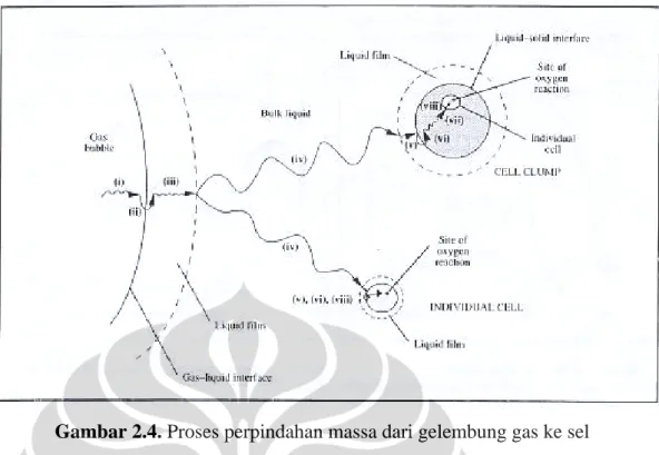 Gambar 2.4. Proses perpindahan massa dari gelembung gas ke sel 