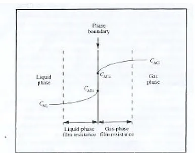 Gambar 2.5. Gradien konsentrasi untuk perpindahan massa gas-cairan 