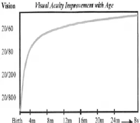 Gambar  5.  Kurva  di  atas  menampilkan  peningkatan  eksponensial  pada  ketajaman  visual  sewaktu  periode  kritis  dari  perkembangan  visual  (dari  lahir  hingga  3 bulan)