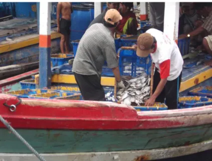 Gambar 16. Kegiatan para nelayan di PPI Lempasing 