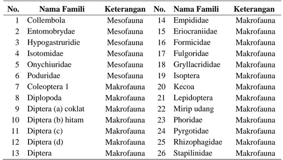 Tabel 3. Jenis Mesofauna dan Makrofauna Tanah yang Ditemukan  No.  Nama Famili  Keterangan  No