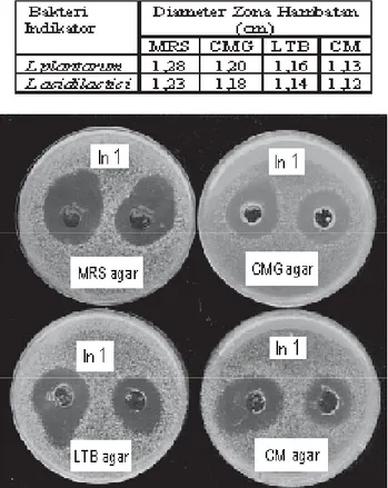 Tabel 2.   Diameter  zona  hambatan  bakteriosin  yang                  dihasilkan  L