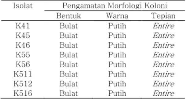Tabel 1. Pengamatan morfologi koloni  Isolat  Pengamatan Morfologi Koloni 