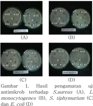 Tabel 5. Diameter penghambatan delapan  isolat  asal  sayur  kubis  terhadap  bakteri  patogen  Isolat  S