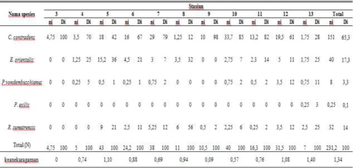 Tabel  3.  Kelimpahan  (ni,  individu/m 2 )  dan  Dominansi  (Di,  %)  Masing-Masing  Spesies  Kijing Air Tawar Unionidae di Sungai  Brantas 