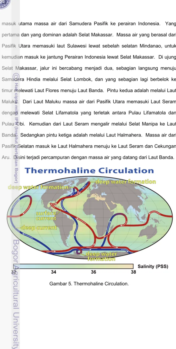 Gambar 5. Thermohaline Circulation. 
