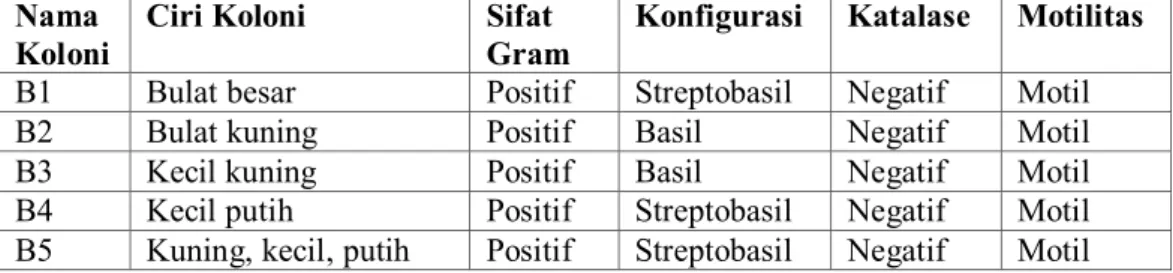 Tabel 1.  Hasil karakterisasi secara morfologi dengan pengecatan Gram  Nama 
