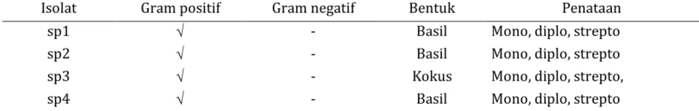 Tabel 2. Hasil pewarnaan Gram isolat bakteri asam laktat 