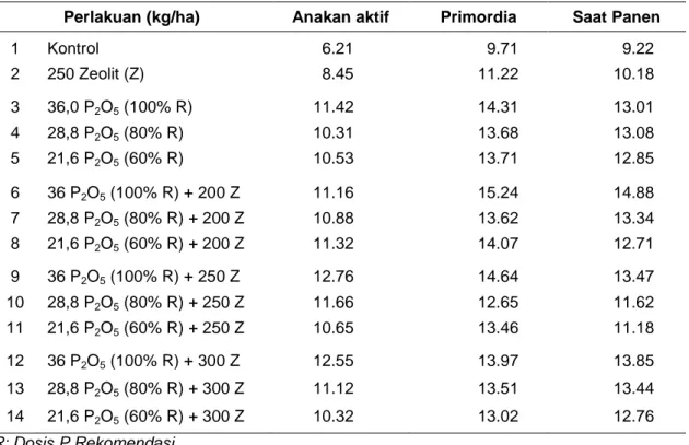 Tabel  4.  Jumlah  anakan  IR  64  pada  berbagai  fase  pertumbuhan  dan  perlakuan  kombinasi  pupuk P dan Zeolit, Tamanbogo MH 1999/2000 