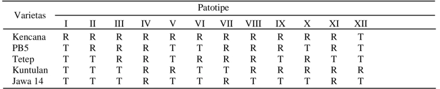 Tabel 1.  Hubungan timbal balik varietas diferensial padi dan patogen Xoo berdasar Kadir (1999)  Patotipe 