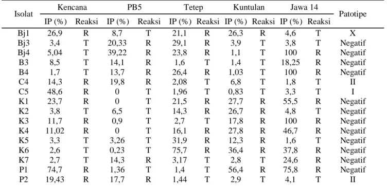 Tabel 6.  Hasil inokulasi Xoo pada lima varietas uji padi (Kencana, PB5, Tetep, Kuntulan, dan Jawa 14)  