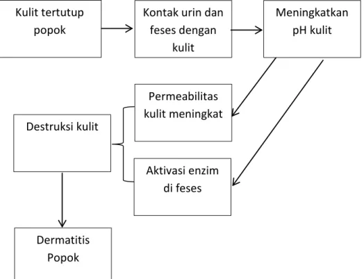 Gambar 2.1. Diagram Patogenesis Dermatitis Popok 