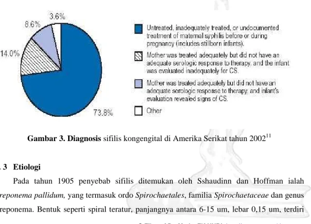 Gambar 3. Diagnosis sifilis kongengital di Amerika Serikat tahun 2002 11