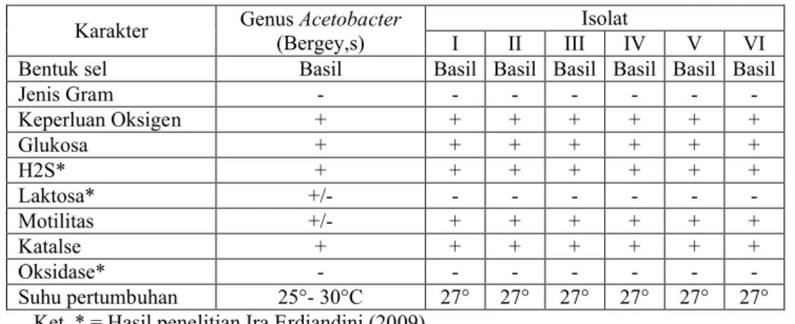 Tabel 5.  Persamaan ciri genus Acetobacter dengan isolat bakteri yang didapat (merujuk pada buku                 Bergey’s Manual Determinative of Bacteriology).