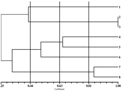 Gambar 2. Diagram pengelompokkan UPGMA berdasarkan koefiesien kesamaan Jaccard       pada delapan aksesi belimbing