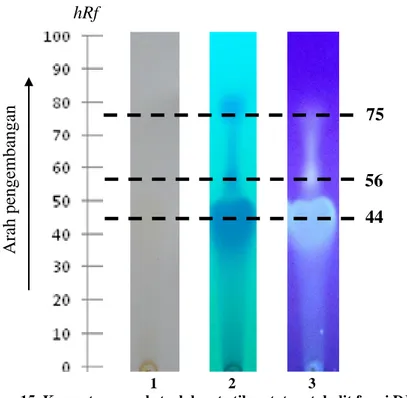 Gambar 15. Kromatogram ekstrak larut etil asetat metabolit fungi DJ2  Ket.: 1= sinar tampak; 2= sinar UV 254 nm; 3= sinar UV 365 nm 