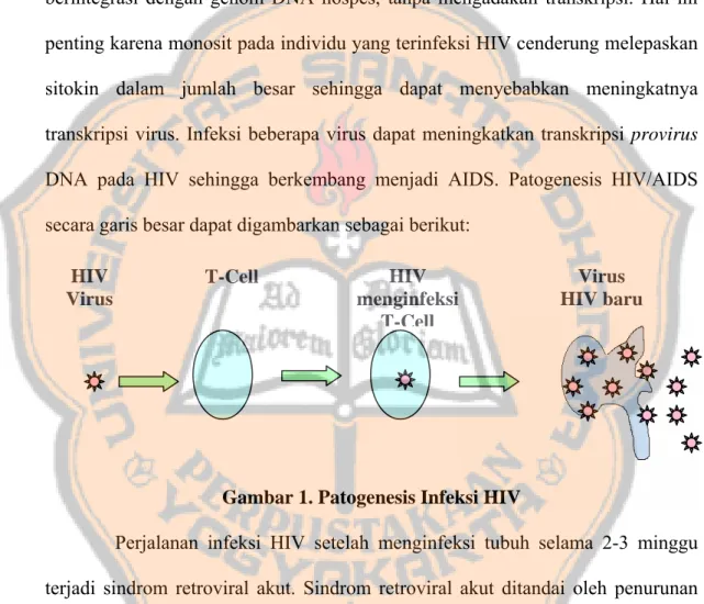Gambar 1. Patogenesis Infeksi HIV 