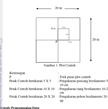 Gambar 1  Plot Contoh 