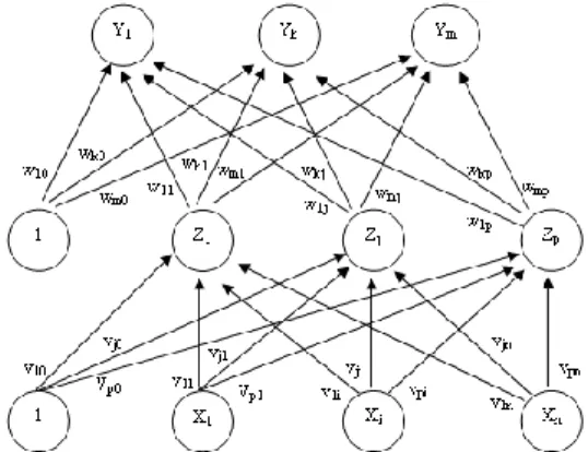 Gambar 2. Arsitektur Model Backpropagation   Pada  gambar  2,  V ji   merupakan  bobot  garis  dari  unit masukan X i  ke unit layar tersembunyi Z j  (V j0 merupakan bobot garis yang menghubungkan bias  di unit masukan ke unit layar tersembunyi   zj)