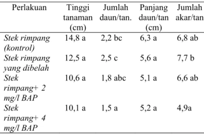 Tabel 2.  Pengaruh BAP terhadap pertumbuhan tunas  stek rimpang tanaman garut  