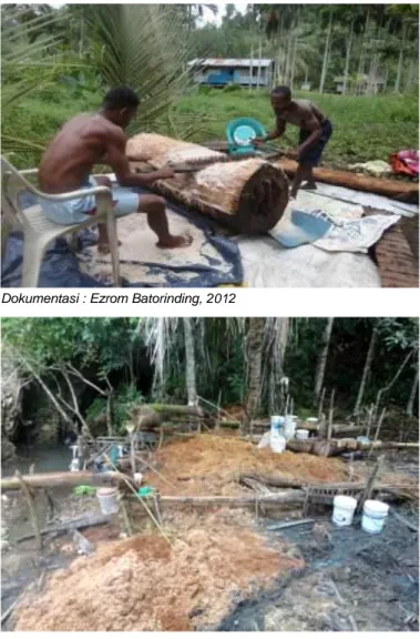 Gambar  5.  Proses    pengolahan    sagu    menjadi  aci  sagu  yang  merupakan bahan pangan pokok etnik Papua 