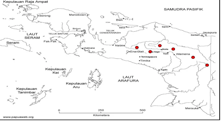 Gambar 17. Peta penyebaran buah negri  (Passiflora edulis) di Tanah Papua 