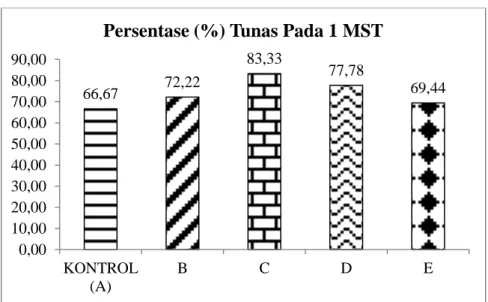 Gambar 4. Histogram persentase pertunasan tanaman binahong  -tinggi tanaman  