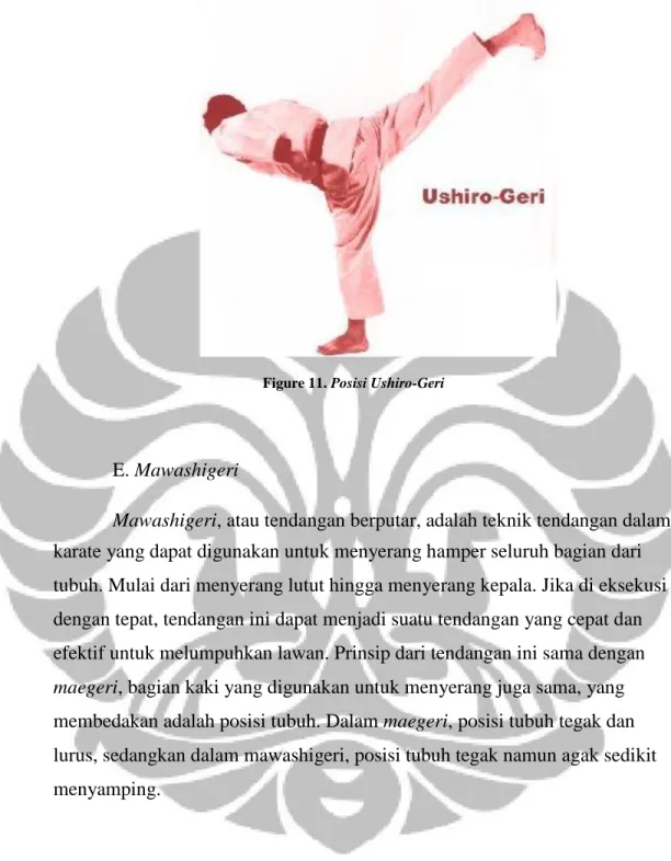 Figure 11. Posisi Ushiro-Geri 