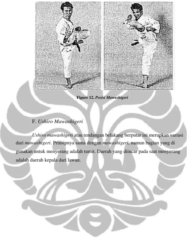 Figure 12. Posisi Mawashigeri 