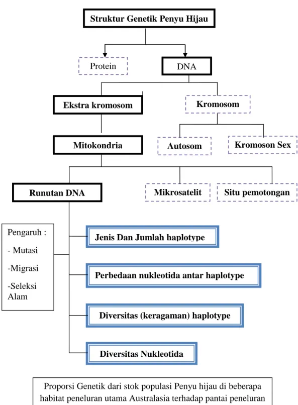 Gambar 2.3 Bagan Kerangka Pemikiran 