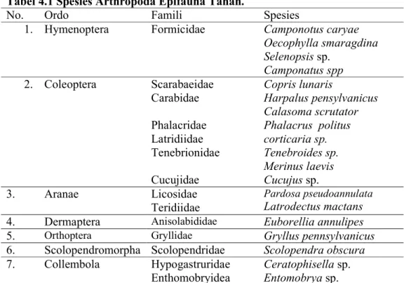 Tabel 4.1 Spesies Arthropoda Epifauna Tanah. 
