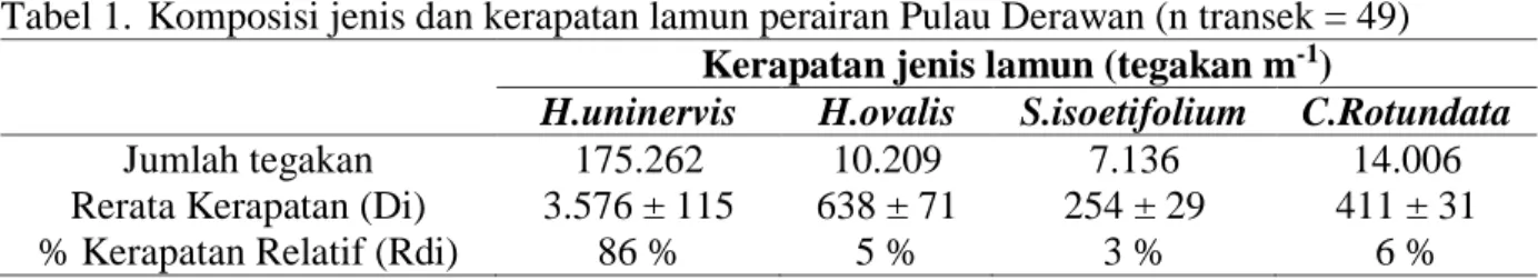 Tabel 1.  Komposisi jenis dan kerapatan lamun perairan Pulau Derawan (n transek = 49)  Kerapatan jenis lamun (tegakan m -1 ) 