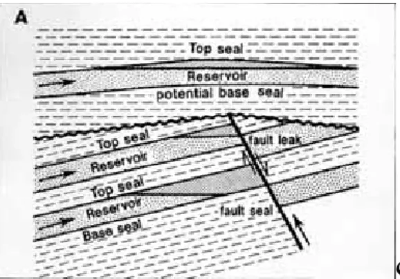 Gambar 3.9. Perangkap Struktural (Magoon, 1995). 