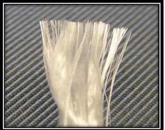 Gambar  2.6  Serat  kaca  berbentuk  batang  (Lee  SI,  Kim  CW,  Kim  YS.  Effect  of  chopped  glass  fiber  on  the  strength  of  heat-cured  PMMA  resin