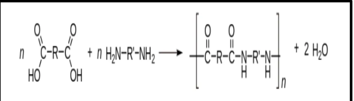 Gambar 2. Reaksi antara dua asam amino (monomer) 5 