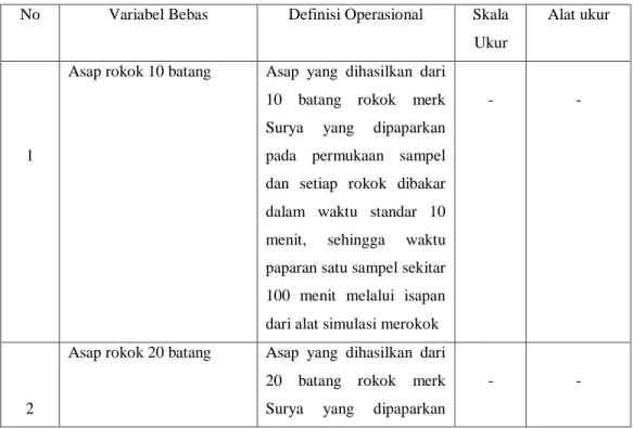 Tabel 1. Definisi operasional variabel bebas 