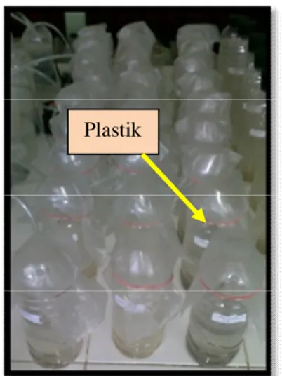 Gambar 2 Rangkaian Reaktor Aerob  Sumber: Dokumentasi Pribadi, 2012 