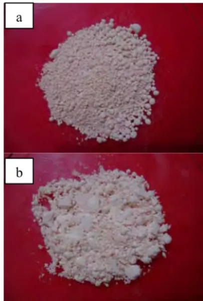 Gambar 7 Mikrokapsul (a)  tanpa  dan (b)  dengan penambahan ketoprofen. 