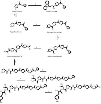 Gambar 3. Skema sintesis H-Tyr-Asp-Pro-Ala-Pro-Pro-Pro-OH. (a) 25% piperidine in DMF,  30 minutes (b) (1) Fmoc-Pro, DIC/Oxyma, DMF (2) 25% piperidine in DMF, 30 minutes (c)  (1) Fmoc-Pro, DIC/Oxyma, DMF (2) 25% piperidine in DMF, 30 minutes (d) (1) Fmoc-Pr
