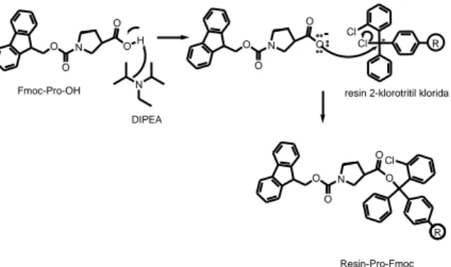 Gambar 1. Reaksi Pengikatan Asam Amino Ujung-C (Fmoc-Pro-OH) Ke Resin 2-Klorotritil  Klorida