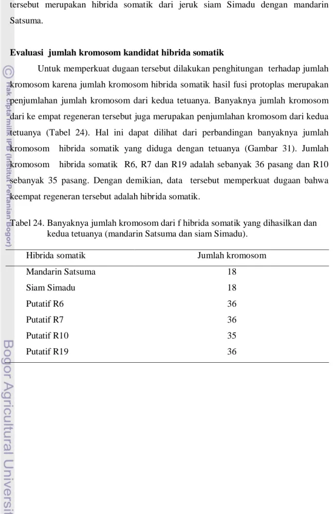 Tabel 24. Banyaknya jumlah kromosom dari f hibrida somatik yang dihasilkan dan      kedua tetuanya (mandarin Satsuma dan siam Simadu)